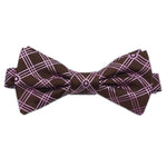 mimi lattice | classic bow tie